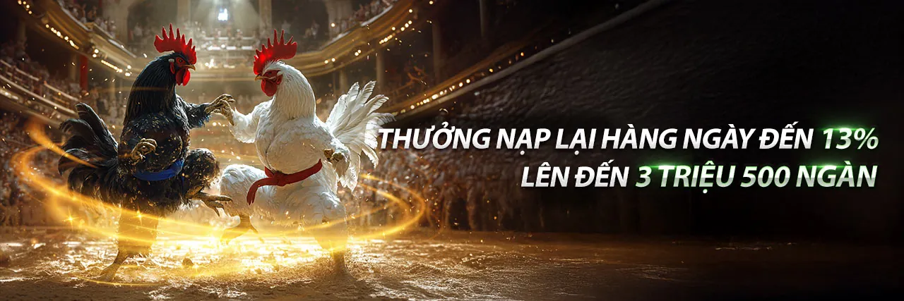 Đá Gà Trực Tuyến 789vn - Sân đấu gà kịch tính