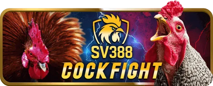 Cơ cấu hoa hồng 789vn